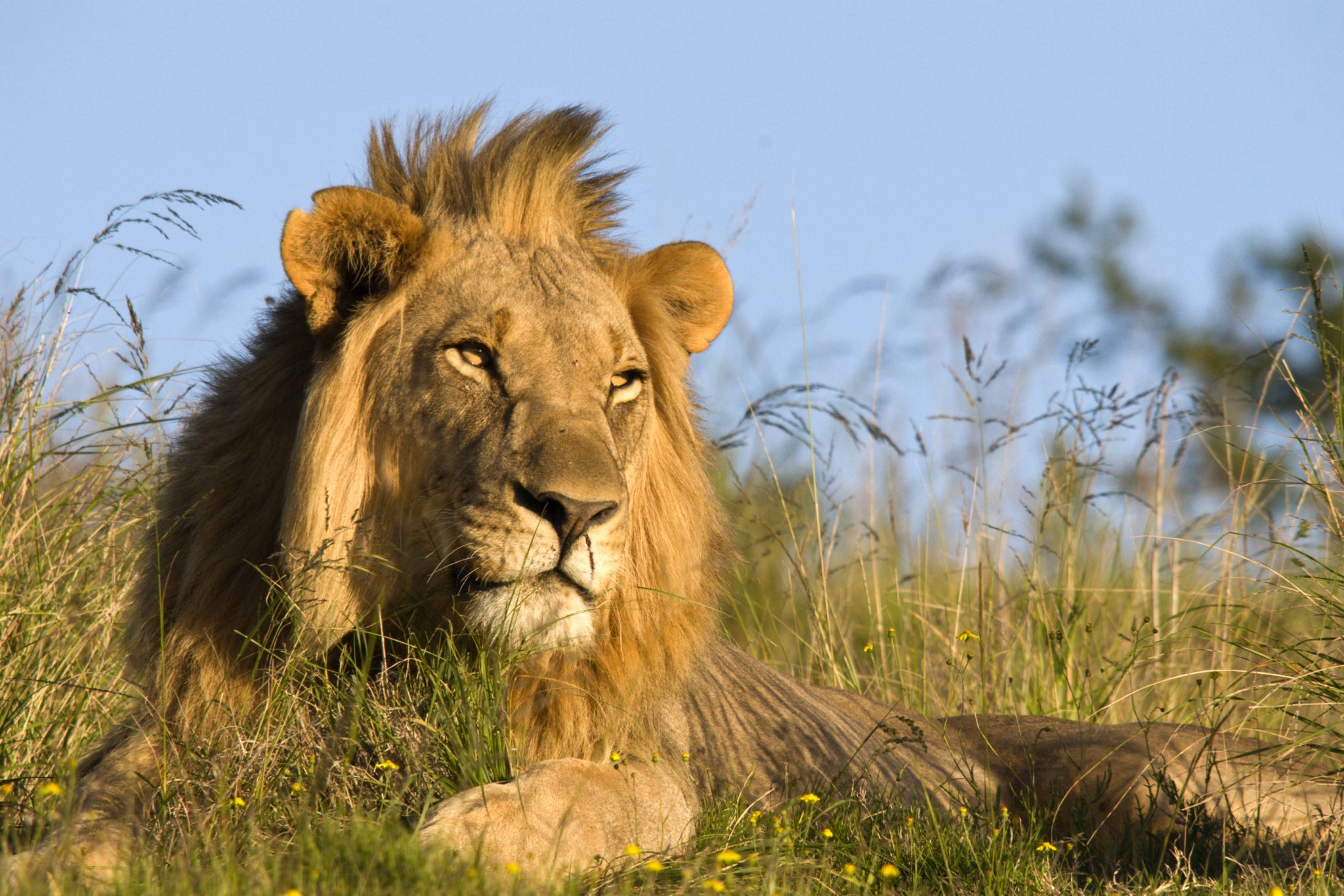 kenian-safari-mr-travel