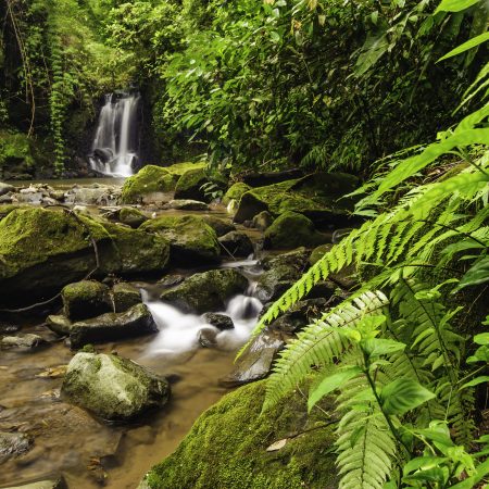 Costa Rica sademetsä