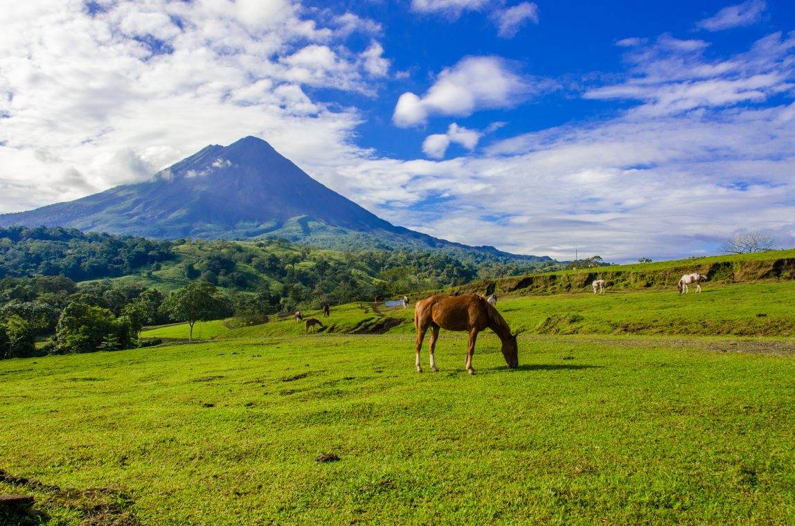Costa Rica Arenal hevonen