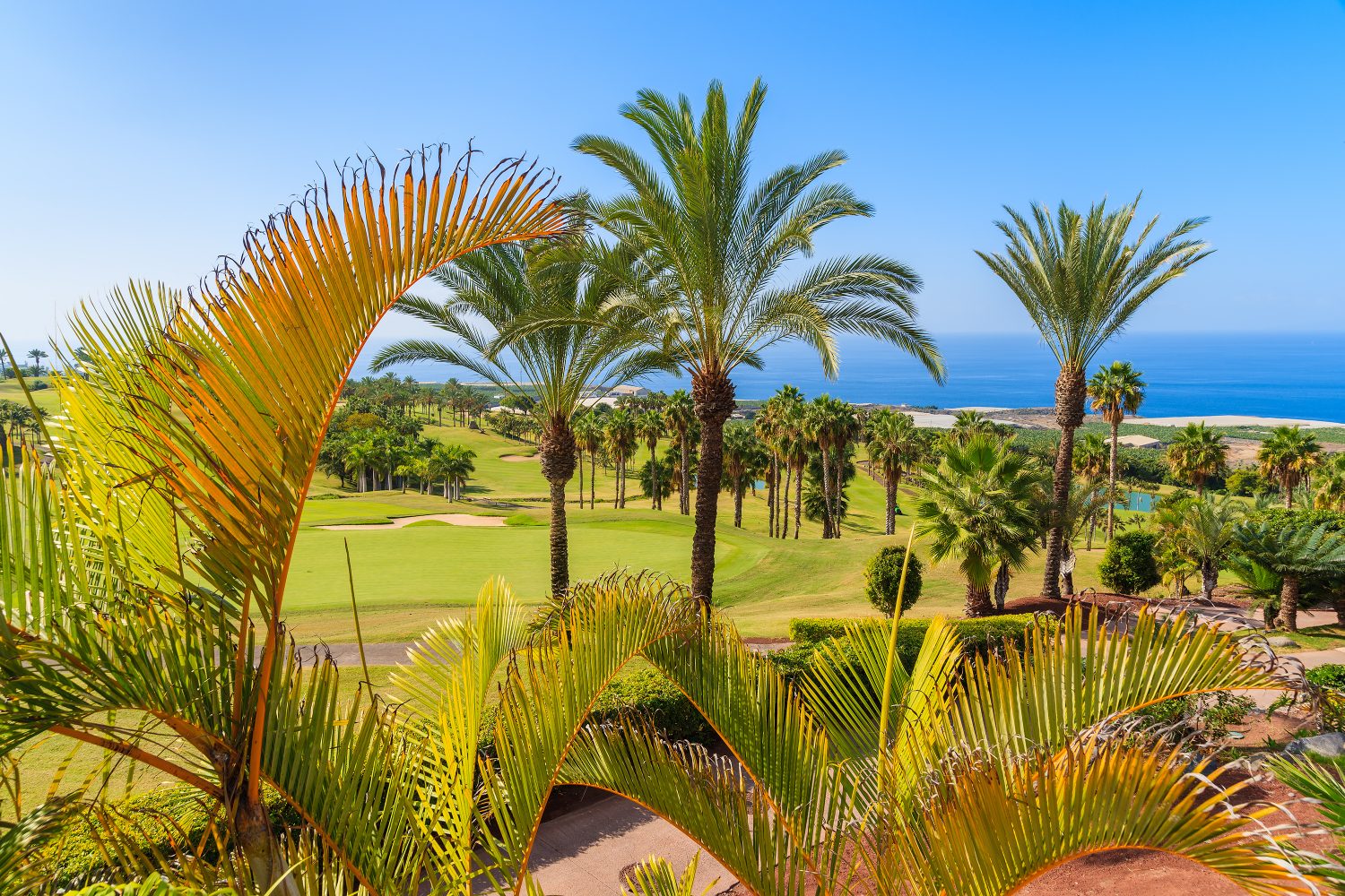 Espanja Kanariansaaret Teneriffa golfkenttä